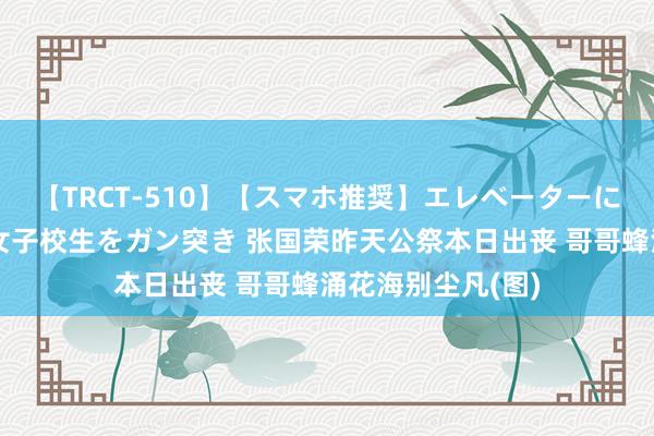 【TRCT-510】【スマホ推奨】エレベーターに挟まれたデカ尻女子校生をガン突き 张国荣昨天公祭本日出丧 哥哥蜂涌花海别尘凡(图)