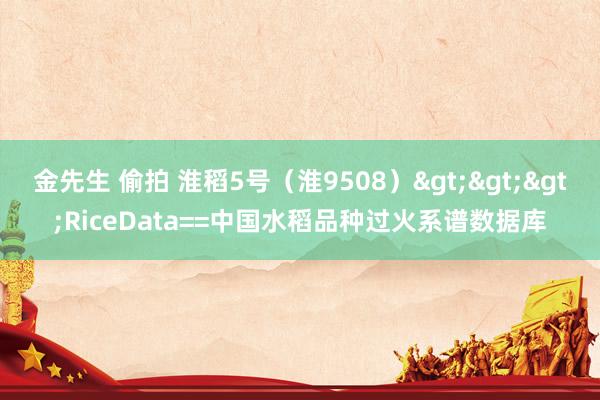 金先生 偷拍 淮稻5号（淮9508）>>>RiceData==中国水稻品种过火系谱数据库