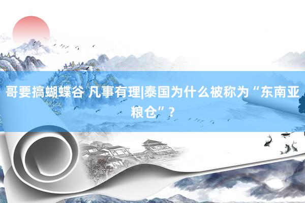 哥要搞蝴蝶谷 凡事有理|泰国为什么被称为“东南亚粮仓”？