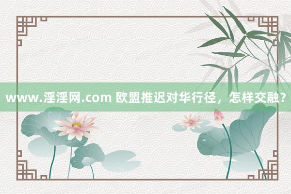 www.淫淫网.com 欧盟推迟对华行径，怎样交融？