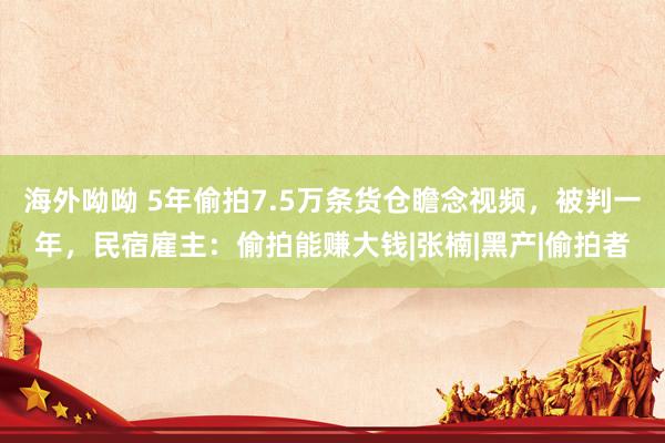 海外呦呦 5年偷拍7.5万条货仓瞻念视频，被判一年，民宿雇主：偷拍能赚大钱|张楠|黑产|偷拍者