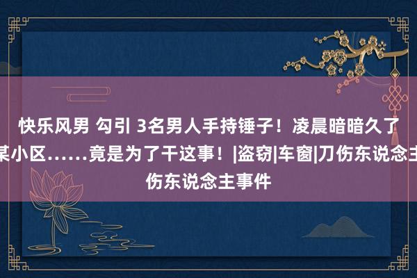 快乐风男 勾引 3名男人手持锤子！凌晨暗暗久了闵行某小区……竟是为了干这事！|盗窃|车窗|刀伤东说念主事件