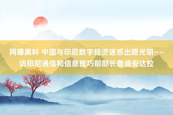 网曝黑料 中国与印尼数字经济迷惑出路光明——访印尼通信和信息技巧部部长鲁迪安达拉