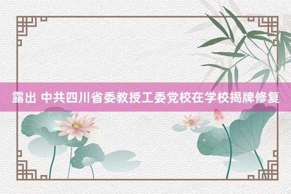 露出 中共四川省委教授工委党校在学校揭牌修复