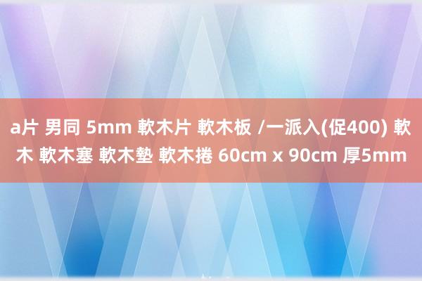 a片 男同 5mm 軟木片 軟木板 /一派入(促400) 軟木 軟木塞 軟木墊 軟木捲 60cm x 90cm 厚5mm