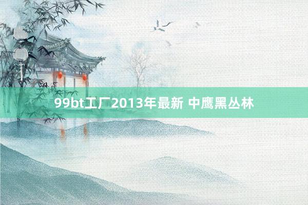 99bt工厂2013年最新 中鹰黑丛林