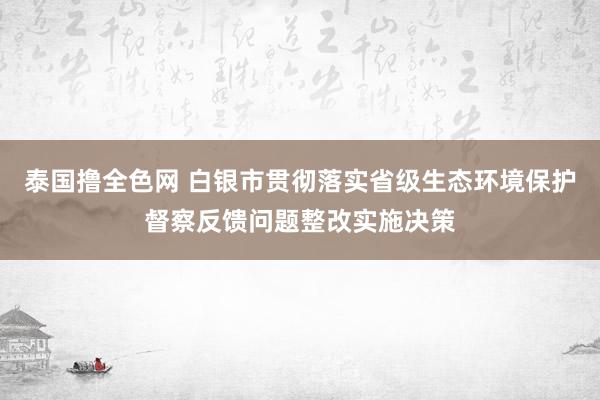 泰国撸全色网 白银市贯彻落实省级生态环境保护督察反馈问题整改实施决策