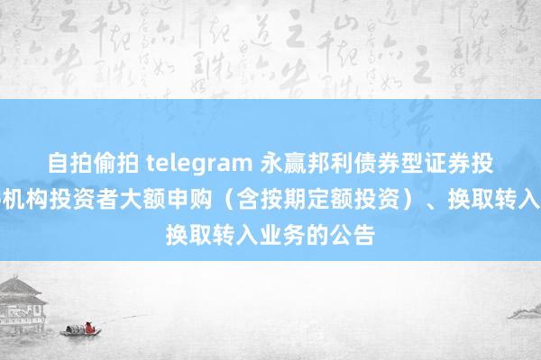 自拍偷拍 telegram 永赢邦利债券型证券投资基金暂停机构投资者大额申购（含按期定额投资）、换取转入业务的公告