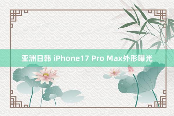 亚洲日韩 iPhone17 Pro Max外形曝光