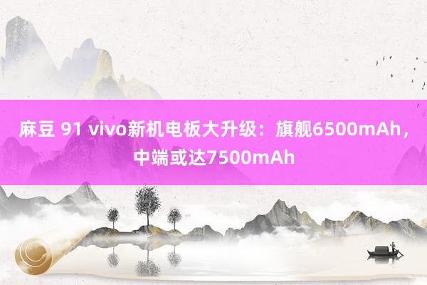 麻豆 91 vivo新机电板大升级：旗舰6500mAh，中端或达7500mAh